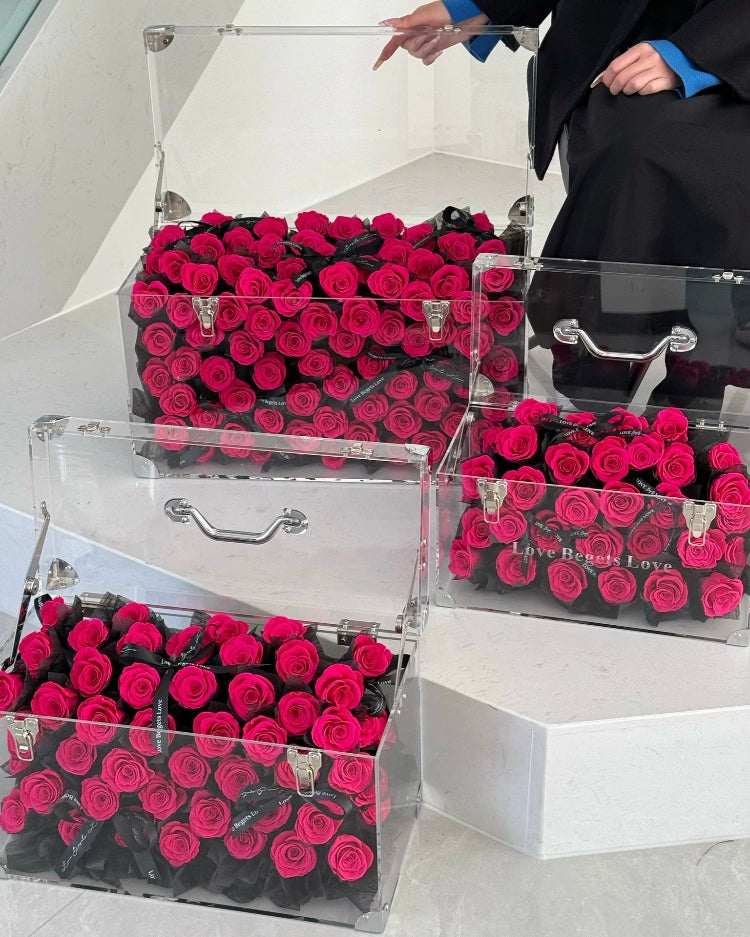 520 Valentine's Day Confession Gift Norman Garden Romantic Eternal Rose Gift to Girlfriend Wife Proposal Birthday Gift